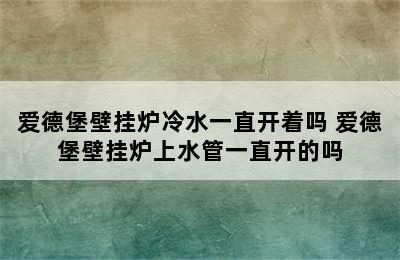 爱德堡壁挂炉冷水一直开着吗 爱德堡壁挂炉上水管一直开的吗